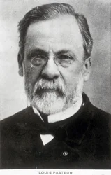 Louis Pasteur, chimico e microbiologo francese, c 1885