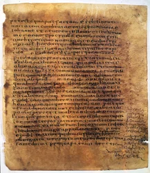 Rotolo di manoscritto: un palinsesto.