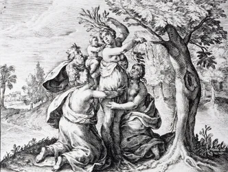 Mattei nelle metamorfosi di Ovidio