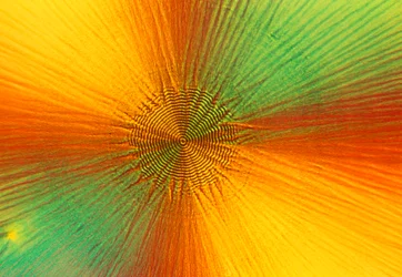 Micrografie (Luce) Acido ascorbico, micrografia a luce
