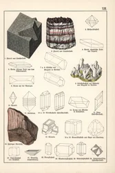 Minerali e cristalli (fluorite, celestina e sale gemma fibroso) - Cromolitografia di Mineralogia di Gustav Adolph Kengott, estratta da Storia Naturale di Gotthilf Heinrich von Schubert