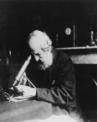 Mordecai Cubitt Cooke, scrittore e illustratore inglese, c. 1900