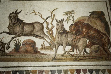 Mosaico di animali in lotta: tigre che assalta due primati notturni. II sec. d.C./Museo di El Jem (Antica Thysdrus)/Tunisia