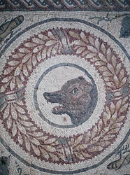 Mosaico del peristilio. Dettaglio che rappresenta la testa di un orso. III - IV secolo. Villa Romana del Casale, Sicilia. Sito UNESCO.