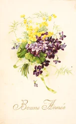 Vecchia cartolina/Violetta e Mimosa