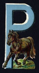 P come Pony. Decoupis di coleotteri sul tema degli animali. Incisione. Serie di 26 cromolitografie waffle di origine inglese. Editore e illustratore sconosciuti. Fine XIX secolo.