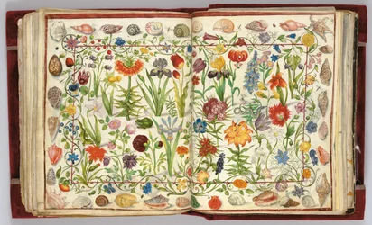 Pagine dall
