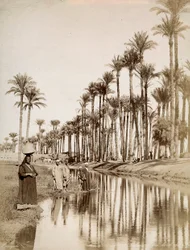 Palme lungo il fiume Nilo. In primo piano uomini in costume tradizionale