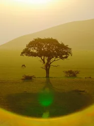 Paradiso dopo la pioggia, Chyulu Hills