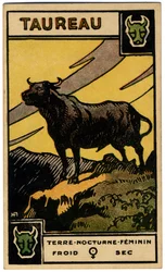 Paranormale. Astrologia. Toro (il Toro). Carta astrologica da: Le Tarot Astrologique, di Georges Muchery, Francia