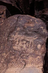 Petroglifi raffiguranti animali e figure - Petroglyph National Monument - Albuquerque, Nuovo Messico, USA (USA)