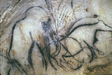 Grotta preistorica di Pech Merle/Cappella dei mammut/25.000 anni/Cabrerets/Lot/Midi Pirenei/Francia