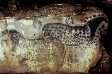 Grotta preistorica di Pech Merle/Cavalli maculati e mani negative/25.000 anni/Cabrerets/Lot/Midi Pirenei/Francia