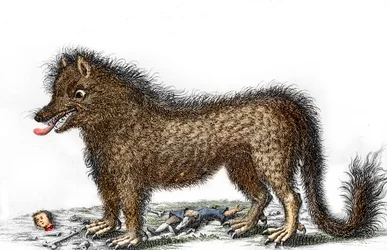 Rappresentazione della bestia del Gévaudan, le ossa delle sue vittime sparse intorno alle sue gambe. Incisione intorno al 1764 (La bestia del Gévaudan in una rappresentazione del 1764) Collezione privata