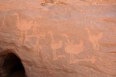 Arte rupestre, Preistoria: Incisione di un gruppo di struzzi, alcuni dei quali intrappolati, e due personaggi nel massiccio di Uweinat, Sudan