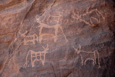 Arte rupestre, Preistoria: Incisione di un gruppo di bovini, uno dei quali in basso a sinistra, nel massiccio di Uweinat, Egitto