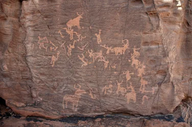 Arte rupestre, Preistoria: Incisione di un gruppo di bestiame, struzzi e personaggi nel massiccio di Uweinat, Sudan (Karkur-Talh). Periodo da 8000 a 3000 anni a.C. Fotografia