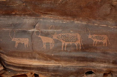 Arte rupestre, Preistoria: Incisione di quattro bovini nel massiccio di Uweinat, Sudan