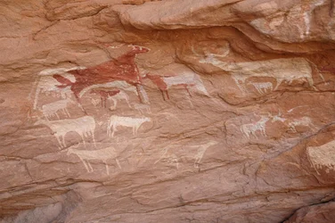 Arte rupestre, Preistoria: Dipinto di un gruppo di bovini in un rifugio ornato, nel massiccio di Uweinat, Sudan