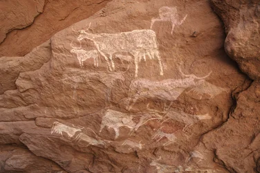 Arte rupestre, Preistoria: Pittura rupestre di un gruppo di bestiame in un rifugio ornato, nel massiccio di Uweinat, Sudan (Karkur-Talh). Periodo da 8000 a 3000 anni a.C. Fotografia