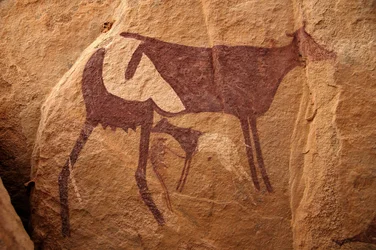 Arte rupestre, Preistoria: Pittura rupestre di una grande mucca bicolore e il suo vitello in un rifugio ornato, nel massiccio di Uweinat, Sudan