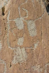 Incisioni rupestri della Valle di Fontanalba, Corniformi incastrati o bovini, Parco Nazionale del Mercantour, Tenda, Alpi Marittime, Francia
