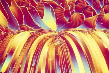 SILICATI, LM Silicato di sodio
