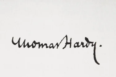 Firma dell