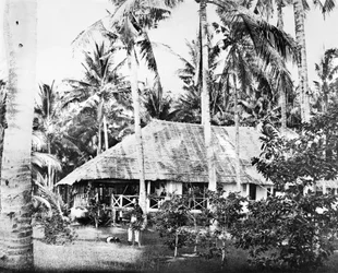 Singapore: Un bungalow privato circondato da palme. Singapore, c1875