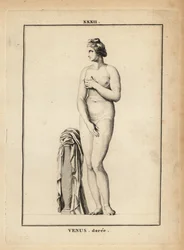 Statua di Venere Dorata, dea romana dell