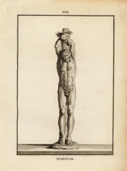 Statua del satiro Marsia che riceve la punizione di Apollo, scuoiato vivo