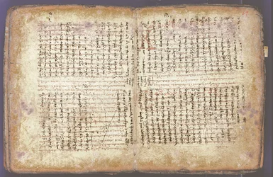 Il Palinsesto di Archimede
