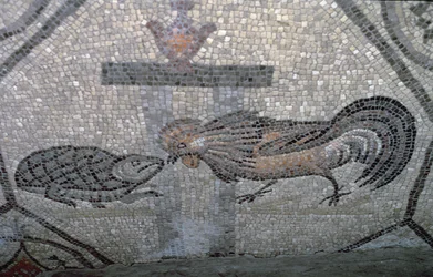 Il gallo e la tartaruga, dettaglio di una pavimentazione decorativa raffigurante immagini cristiane e simboli pagani, 313 d.C. circa
