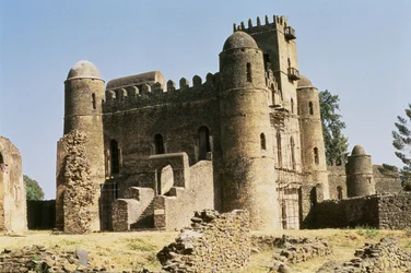 Il palazzo dell