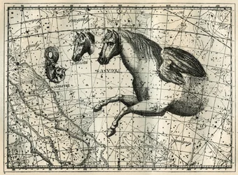 La costellazione di Pegaso, disegnata come la metà anteriore di un cavallo con un paio di ali, il Cavallino, una testa di cavallo e il Delfino. Incisione da "Les étoiles et les autres curiosités du ciel" di Camille Flammarion