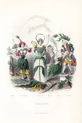 Le fate dei fiori, quella dell