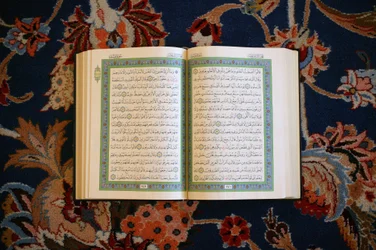 Grande moschea del sultano Qaboos, Mascate, Emirati Arabi Uniti