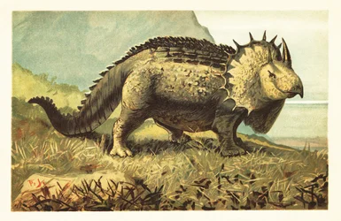 Triceratopo prorsus, dinosauro erbivoro estinto. 1908 (litografia)