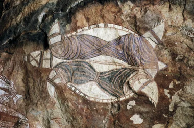 Tartaruga, pittura rupestre, Terra di Arnhem, Territorio del Nord, Australia, cultura aborigena