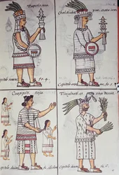 Tzapotlatena, Chalchiuhtlatonal, Cioapipitli e Tliltecuhtli, Codice Fiorentino, versione bilingue in spagnolo e nahuatl, Storia generale delle cose della Nuova Spagna (Historia general de las cosas de Nueva Espana), Azteca