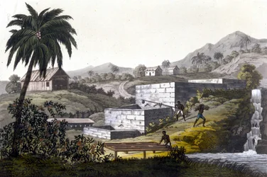 Immagine sconosciuta