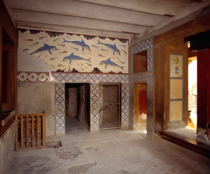 Immagine sconosciuta