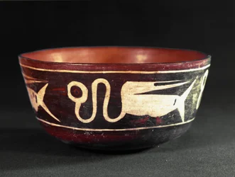 Immagine sconosciuta