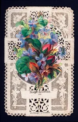 Immagine sconosciuta