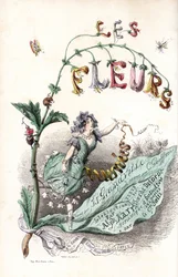 Una fata dei fiori si siede su una foglia e tiene un nastro (pagina del titolo) - Acquaforte di Charles Geoffroy (1819-1882), da un