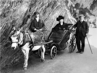 Regno Unito: Una carrozza per invalidi trainata da un asino. 1906