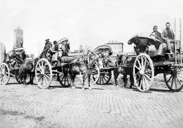 Regno Unito: Carri del vino in un vigneto. Francia, c1890
