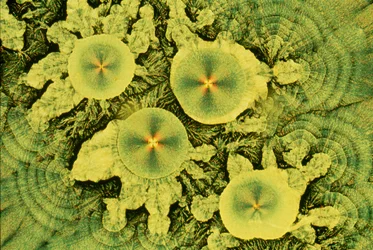 VITAMINE, LM Miscela di acido ascorbico/sodio