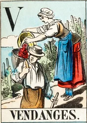 V Vendemmia - "Alfabeto della fattoria" fine XIX secolo
