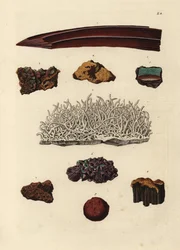 Varietà di minerali di ferro. Incisione a mano colorata da un